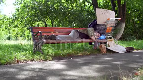 与醉醺醺的老流浪汉睡在街上的长凳上视频的预览图