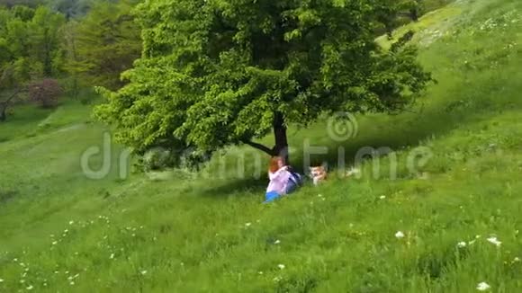 一个年轻漂亮的女孩带着科吉狗坐在树下的草地上视频的预览图