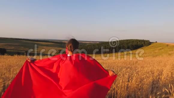 超级英雄在蓝天下带着小麦跑过田野慢动作视频的预览图