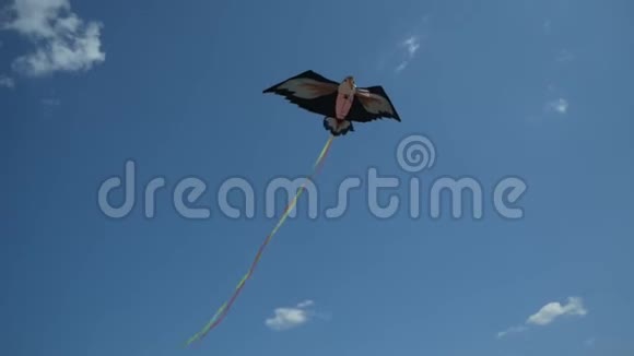 彩条风筝在蓝天上飞翔视频的预览图