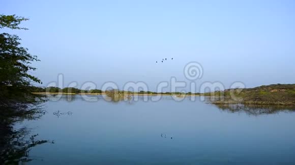 河流或海岸的美丽蓝色水景场景鸟儿在冬天的雾蒙蒙的早晨飞翔户外自然的射击视频的预览图