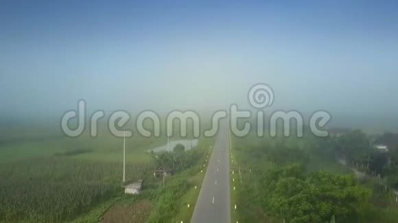 晨雾中的乡村景色消失了视频的预览图