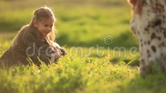 小女孩穿着连衣裙坐在草地上喂马复古风格的慢动作视频的预览图