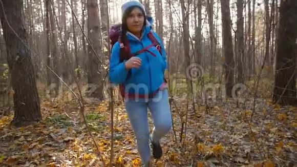 概念冬季秋季旅游和徒步旅行一个年轻的徒步旅行者在秋天的森林里徒步旅行视频的预览图