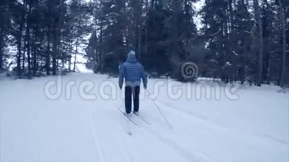 在森林里滑雪视频的预览图