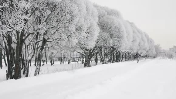 冬天下雪时孤独的跑步者视频的预览图