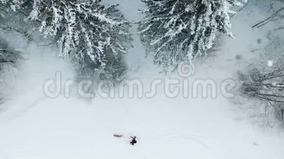一名男子与一只狗在越野滑雪上的鸟瞰图空中自然越野滑雪视频的预览图