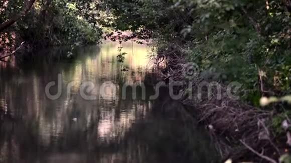 日出自然江面视频的预览图