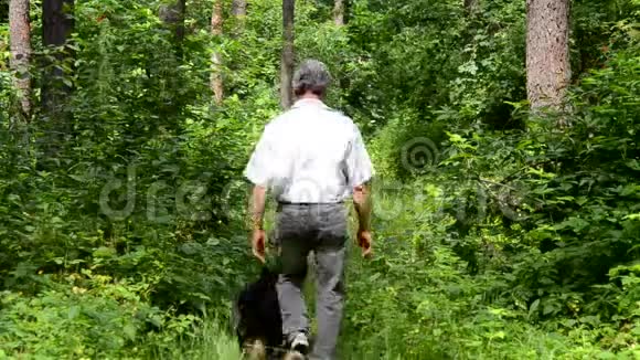 老人和狗正在树林里散步视频的预览图