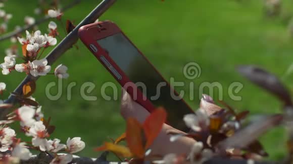 公园智能手机上的女性手短信视频的预览图