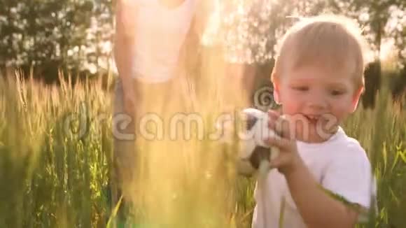 幸福家庭的概念一个男孩和他的母亲在一片麦田里带着麦穗微笑着视频的预览图