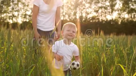 幸福家庭的概念在黑麦田里孩子在夕阳下的阳光下穿过田野凝视着视频的预览图