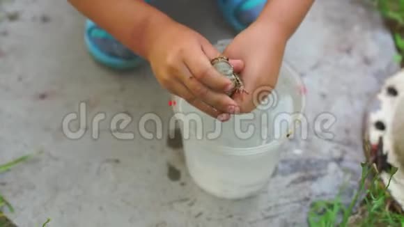 一个五岁的孩子手里拿着水的青蛙视频的预览图