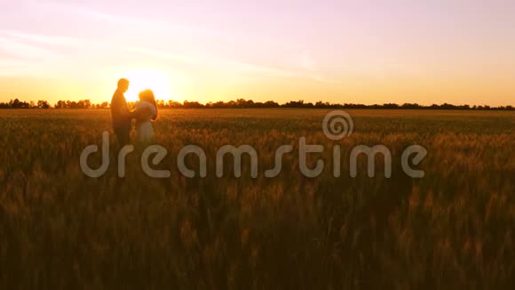 妈妈爸爸和小宝宝在夕阳的照耀下走在金色的麦田里视频的预览图