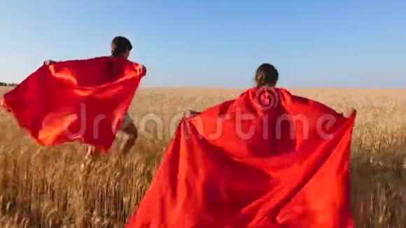 女孩扮演超级英雄用小麦穿过田野对抗蓝天视频的预览图