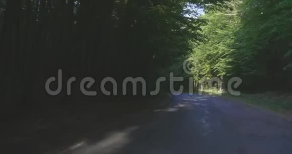 4K森林公路向前推进视频的预览图