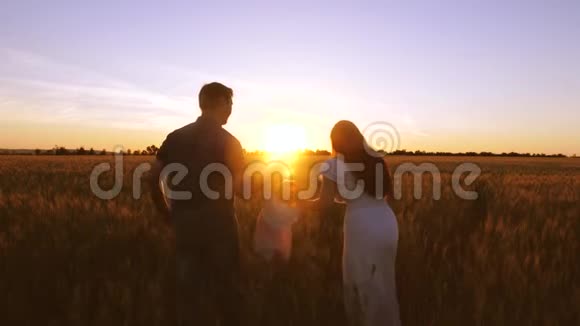 孩子和他的父母在金色的夕阳下带着小麦走在田野上视频的预览图