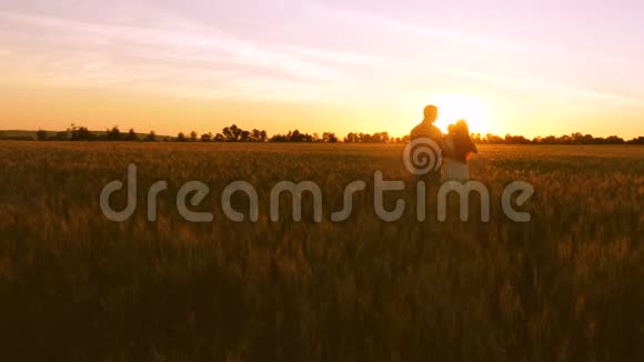 妈妈爸爸和小宝宝在夕阳的照耀下走在金色的麦田里视频的预览图
