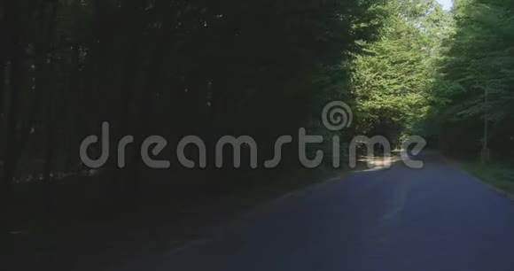 4K在落叶林的道路上移动视频的预览图