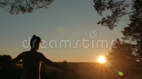 日落时分在森林里练习瑜伽的女人视频的预览图