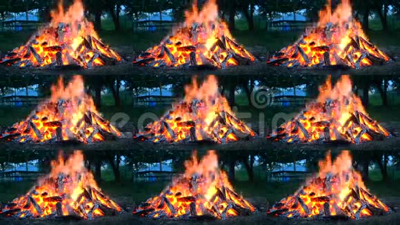 晚上大片的火在林间空地上燃烧视频的预览图