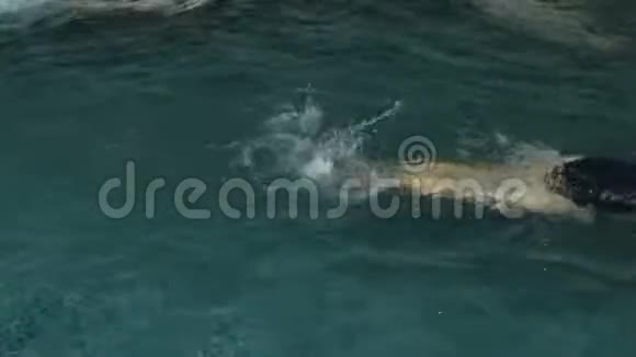 女人在游泳池里游泳后景腿部特写视频的预览图