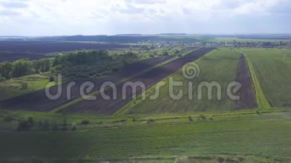 空中无人机可以看到犁地和绿色的田野树木背景是蓝色多云天空的小镇农业视频的预览图