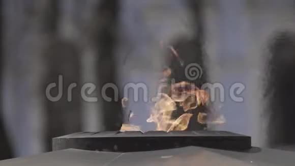 街道上永恒的火焰视频的预览图