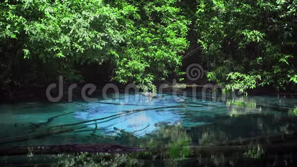 泰国Krabi省SraMorakot蓝池的电影克拉比著名的自然景点视频的预览图