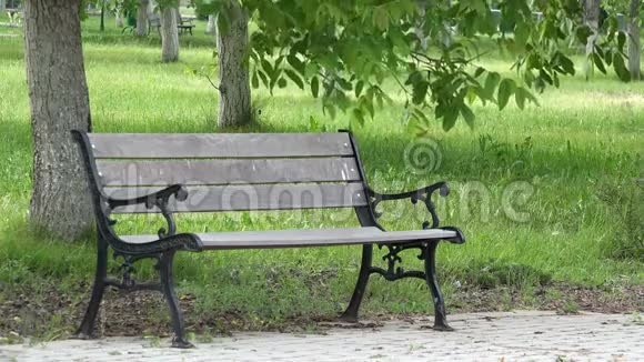 春天里的单人空凳所有期待你的东西视频的预览图