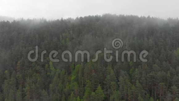 早晨的云彩笼罩着森林视频的预览图