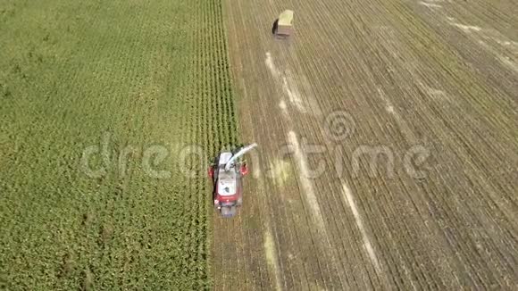 秋季用飞机从上到下的机械收割玉米视频的预览图
