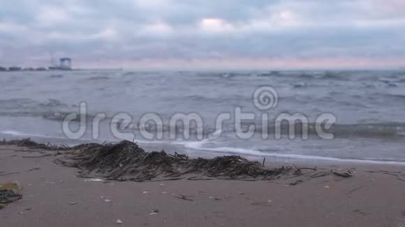日落时海滩上的堪卡海藻与海港的海景视频的预览图