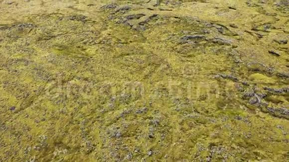 飞越冰岛的埃尔德劳恩熔岩空中高角度无人驾驶飞机视野视频的预览图