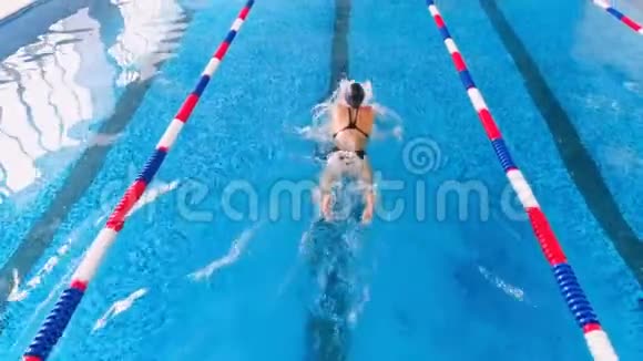 专业女性游泳运动员在游泳池里比赛上景视频的预览图