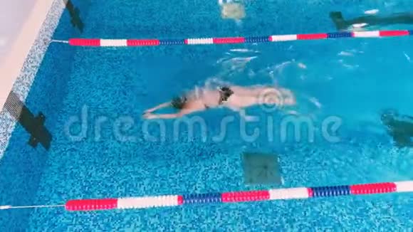 从游泳池专业游泳训练的上方拍摄视频的预览图