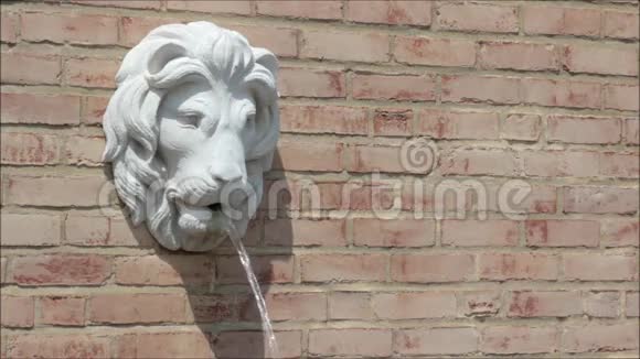 狮子头喷泉视频的预览图