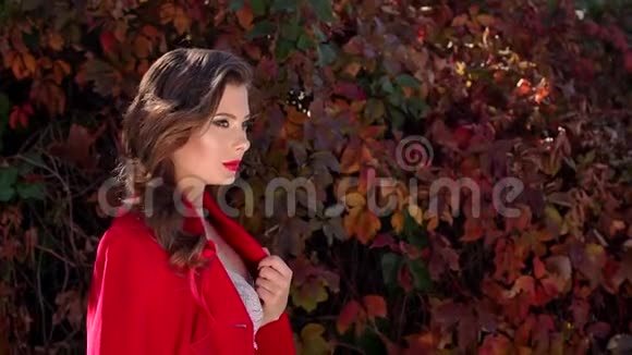 穿着红色外套的女孩用彩色秋叶在秋天公园散步视频的预览图