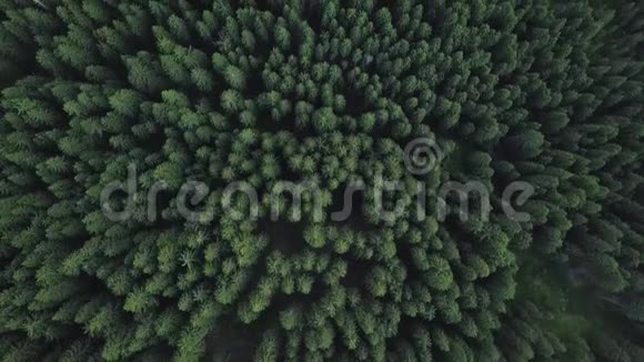 从上面用无人机在山上的绿树上射击视频的预览图