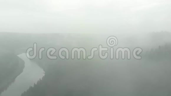 早晨的云彩笼罩着森林视频的预览图
