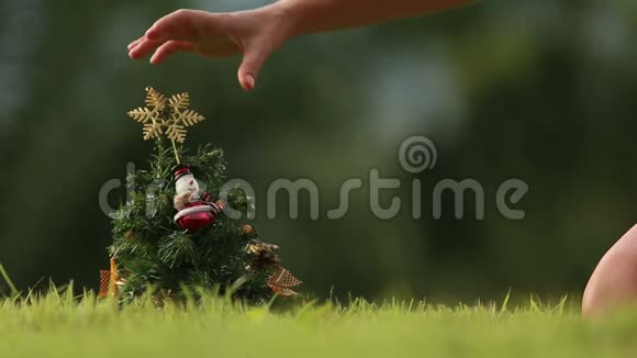 女孩从圣诞树上摘星视频的预览图