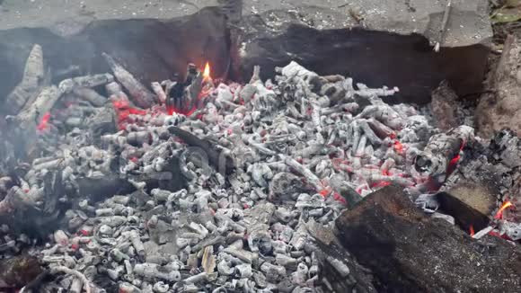 木炭和木柴在烤架里燃烧关闭镜头视频的预览图
