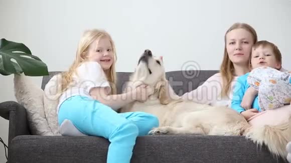 家庭宠物的生活妈妈儿子和女儿正和一只金毛猎犬在客厅的沙发上休息视频的预览图