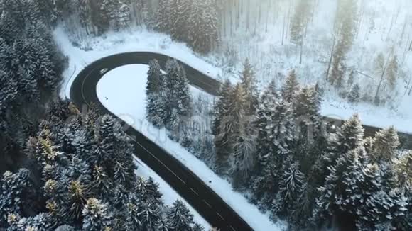 头顶高空俯视汽车行驶在簪弯转弯的山路上冬雪覆盖森林白色视频的预览图