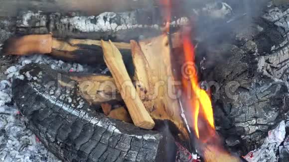 木炭和木柴在烤架里燃烧关闭镜头视频的预览图