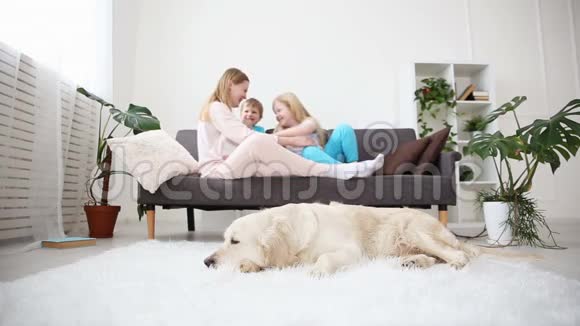 家庭宠物的生活妈妈把她的孩子抱在客厅的沙发上金毛猎犬是视频的预览图
