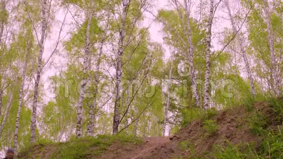 一个穿着白桦树在山上挥手奔跑的人视频的预览图