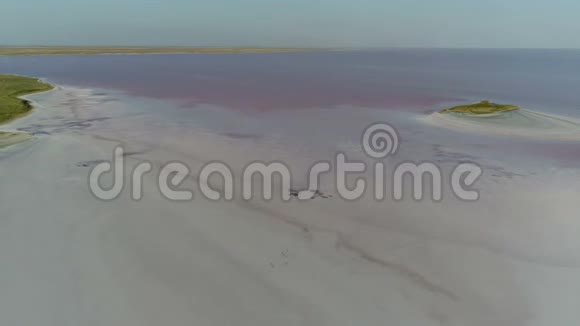 咸水海洋土地的无人视野视频的预览图