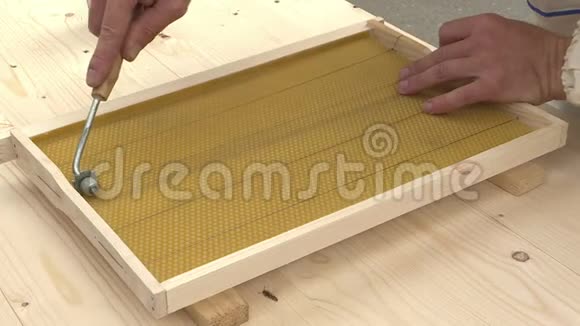 为蜜蜂做蜂巢有蜂蜜细胞的蜂窝视频的预览图