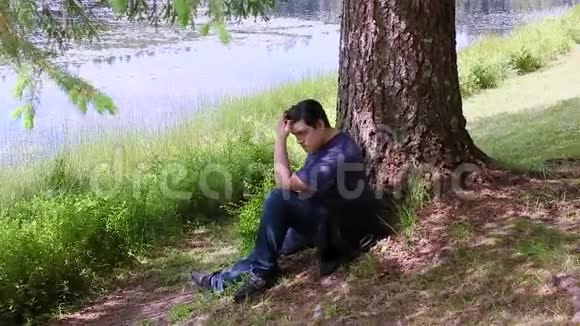 坐在湖边树下的家伙视频的预览图
